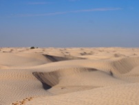 Un petit tour dans le Sahara